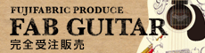 FAB GUITAR