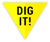 DIG IT
